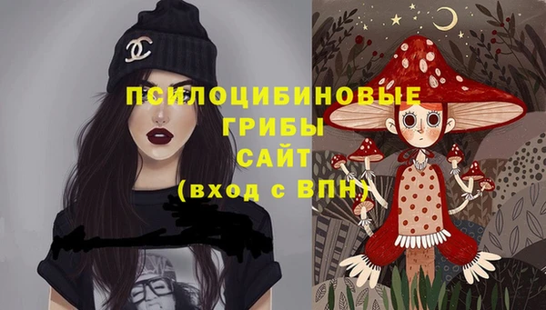 СК Алексин